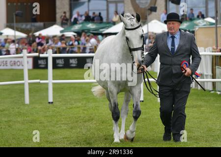 Edinburgh Scotland, Vereinigtes Königreich, 23. Juni 2023. Der zweite Tag der Royal Highland Show. Live-Nachrichten von sst/alamy Stockfoto