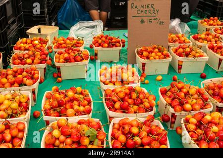 Kirschkörbe mit ihren teuren Preisen werden am Samstag, den 17. Juni 2023 auf dem Union Square Greenmarket in New York verkauft. (© Richard B. Levine) Stockfoto