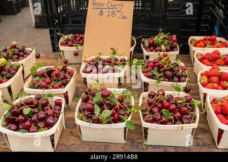 Kirschkörbe mit ihren teuren Preisen werden am Samstag, den 17. Juni 2023 auf dem Union Square Greenmarket in New York verkauft. (© Richard B. Levine) Stockfoto