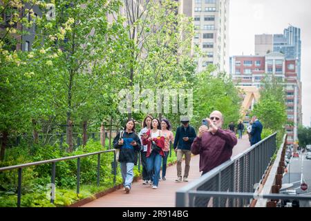 Besucher durchqueren den High Line-Moynihan Connector im Viertel Hudson Yards am Eröffnungstag, Donnerstag, den 22. Juni 2023. Die Holzbrücke und die dazugehörige Waldbrücke verbinden die High Line Extension mit dem Manhattan West plaza in Brookfield, so dass die Moynihan Train Hall fast verkehrsfrei zu Fuß erreichbar ist. (© Richard B. Levine) Stockfoto