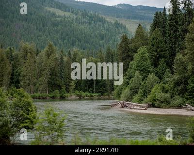 Der Eagle River in der Nähe von Craigellachie in British Columbia, Kanada. Stockfoto