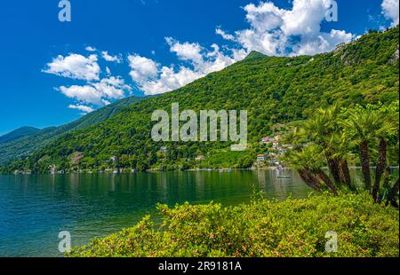 Cannero Riviera, Lago Maggiore. Panoramablick von der Küste der Altstadt. Piemont, Italienische Seen, Italien, Europa Stockfoto