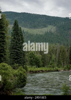 Der Eagle River in der Nähe von Craigellachie in British Columbia, Kanada. Stockfoto