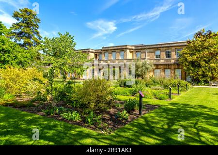 Natürliche Schönheit des Oxford Botanic Garden im Sommer. Stockfoto