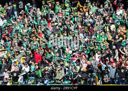 25. März 2023; Portland, Oregon, USA; Fans im Providence Park. Timbers Army (Foto: Al Sermeno/KLC fotos) Stockfoto