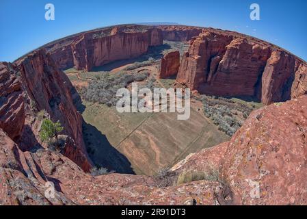 Spring Canyon im Canyon De Chelly National Monument Arizona vom Sliding House Overlook am Südrand aus gesehen. Stockfoto