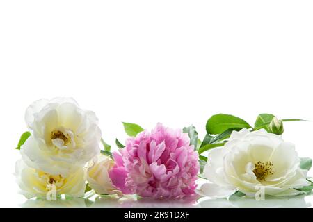 Strauß aus weißen Sommerrosen und Pfingstrosen, isoliert auf weißem Hintergrund. Stockfoto