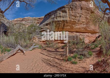 Ein Schild markiert das Ende des Sipapu Bridge Trail und weist den Weg zu zwei anderen Brücken am Natural Bridges National Monument Utah. Stockfoto