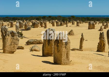 Die unglaublichen Felsformationen des Pinnacles-Nationalparks in Westaustralien Stockfoto