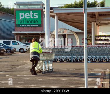 Der Mitarbeiter sammelt Einkaufswagen und schiebt sie zurück in den Laden Stockfoto