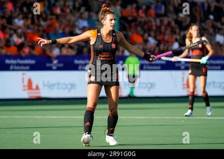 Amstelveen, Niederlande. 23. Juni 2023. AMSTELVEEN, NIEDERLANDE - JUNI 23: Frederique Matla der Niederlande Gesten während des FIH Hockey Pro League Frauenspiels zwischen den Niederlanden und Deutschland im Wagener Stadion am 23. Juni 2023 in Amstelveen, Niederlande (Foto von Rene Nijhuis/BSR-Agentur) Kredit: BSR-Agentur/Alamy Live News Stockfoto