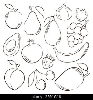 Symbole für Vektorskizzen, Früchte und Beeren eingestellt. Dekorative Kollektion im Stil von Linienart handgezeichnete Agrarprodukte für Restaurantmenü, Marktetikett. Mango Stock Vektor
