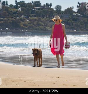 Tel Aviv, Israel - 15. September 2022: Eine Frau, die an einem sonnigen Tag mit ihrem Hund am Strand von Tel Aviv spaziert. Stockfoto