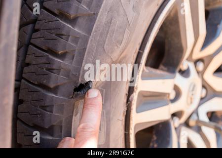 Eine Hand zeigt ein großes Loch in einem Autoreifen auf den unebenen Straßen von Westaustralien Stockfoto