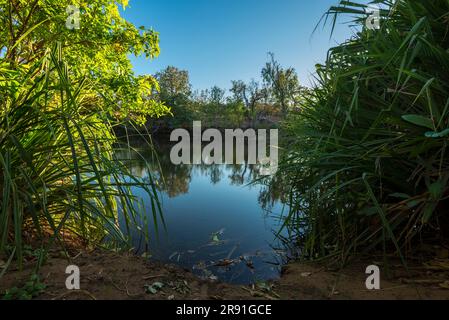 Wunderschöne Aussicht auf die Natur in der Nähe des Chamberlain River an einem Campingplatz in der Nähe der Gibb River Road in Westaustralien Stockfoto