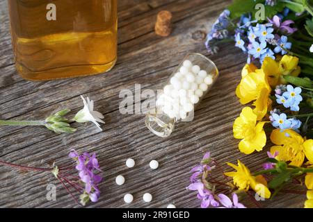 Eine Flasche homöopathische Pillen mit Tinktur und frischen Frühlingsblumen und Kräutern Stockfoto