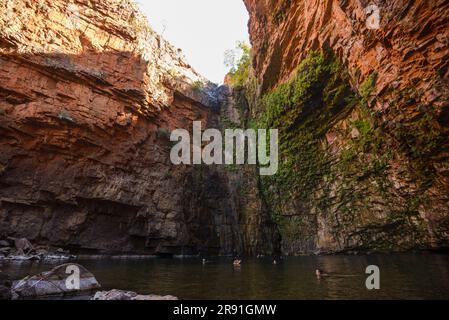 Touristen können im frischen Wasser der Emma Gorge in Westaustralien schwimmen Stockfoto