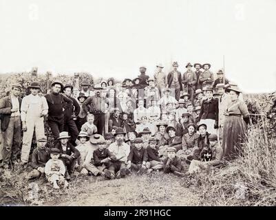 Oregon: c. 1886 Hopfenpflücker in Oregon versammeln sich für ein Gruppenporträt. Stockfoto