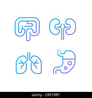 Menschliche Organe Pixel perfekte Gradient lineare Vektor-Symbole gesetzt Stock Vektor
