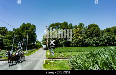 Ronks, Pennsylvania, 3. Juli 2023 - View of an Amish Open Horse and Carriage Traveling in a Rural Country Road after Crossing a Rail Road Crossing an a Sunny Spring Day Stockfoto