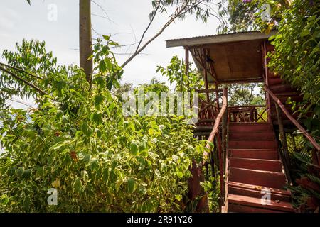 Eine Hütte im Wald am Muatnda-See in Kisoro, Uganda Stockfoto