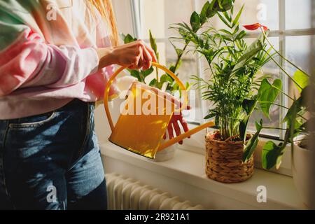 Eine Frau, die zu Hause blühende Pflanzen auf Fensterbank gießt Stockfoto