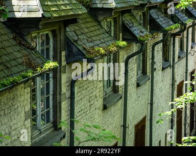 Häuser wachsen grünes Moos auf dem Dach, was zu hoher Feuchtigkeit führt. Stockfoto