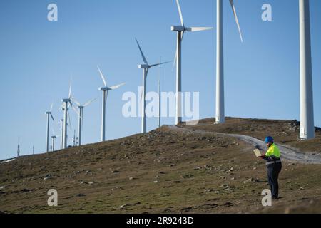 Ingenieur, der an einem Laptop arbeitet, der in der Nähe von Windturbinen steht Stockfoto