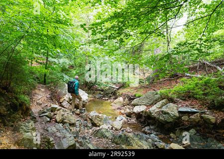 Aktiver Senior-Mann, der auf einem Felsen im Wald steht Stockfoto