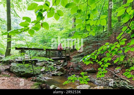 Reife Frau, die auf einer Brücke im Wald steht Stockfoto