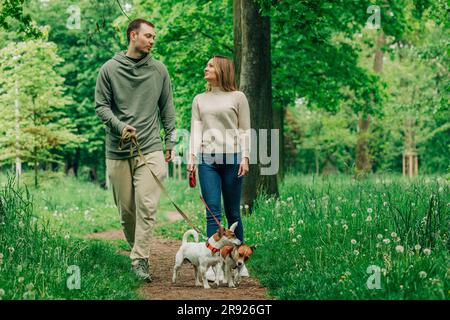 Lächelnde Frau und Mann, die mit Jack Russell Terrier Hunden im Park spazieren gehen Stockfoto