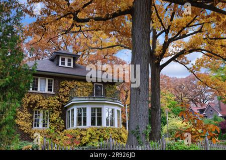 Wohngegend mit großen alten Bäumen im Herbst Stockfoto