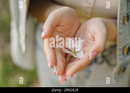 Nahaufnahme einer jungen Frau mit weißer Blume Stockfoto