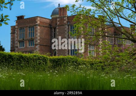 Doddington Hall Lincolnshire, Anbau von süßen Erbsen, Duft, viktorianischen Garten, Spalier, Wigwam geformt, Stangen zusammengebunden, Bindung mit String klettern. Stockfoto