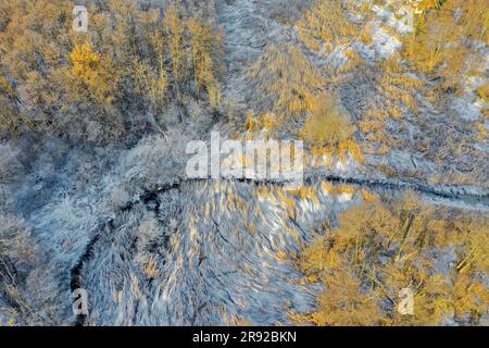 Hammer Moor im Winter, Luftaufnahme, Deutschland, Schleswig-Holstein, Herzogtum Lauenburg, Panten Stockfoto