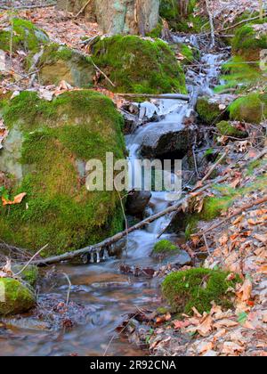 Eine wunderschöne Outdoor-Szene mit einem kleinen, felsigen Bach, der durch moosbedeckte Felsen fließt. Stockfoto