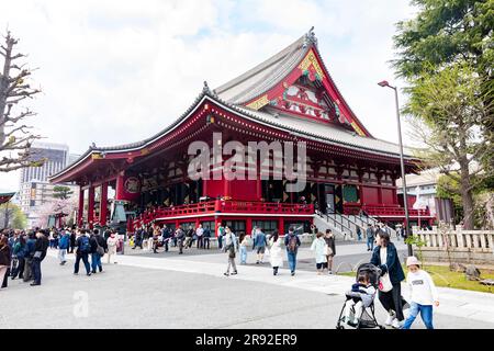 Senso-Ji-Tempel Tokio ältester Tempel im Asakusa-Viertel, 2023, Besucher und Touristen laufen durch das Tempelgelände und die Haupthalle, Japan, Asien Stockfoto