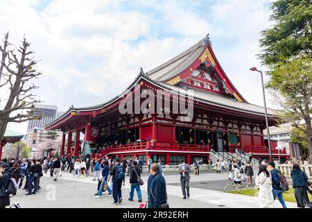 Senso-Ji-Tempel Tokio ältester Tempel im Asakusa-Viertel, 2023, Besucher und Touristen laufen durch das Tempelgelände und die Haupthalle, Japan, Asien Stockfoto