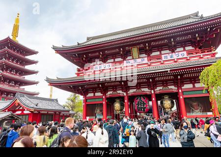 Senso-Ji-Tempel und 5-stöckige Pagode Tokio ältester Tempel im Asakusa-Viertel, 2023, Besucher und Touristen laufen durch das Tempelgelände, Japan, Asien Stockfoto