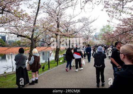 Ueno Park Tokyo Japan 2023, Menschen gehen durch den Park, um die Kirschblüte im Frühjahr 2023, Japan, Asien zu sehen Stockfoto