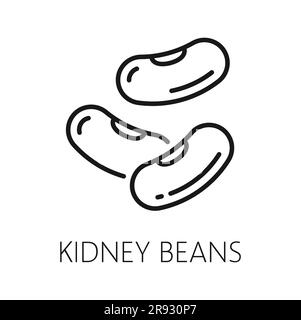 Kidnierenbohnen, Erbsenschoten Gemüse Hülsenfrüchte isoliertes Umriss-Symbol. Vektorbiologisches vegetarisches Essen, geschälte Körner. Getrocknete gewöhnliche Nierenbohne, vegetarisches Essen Stock Vektor