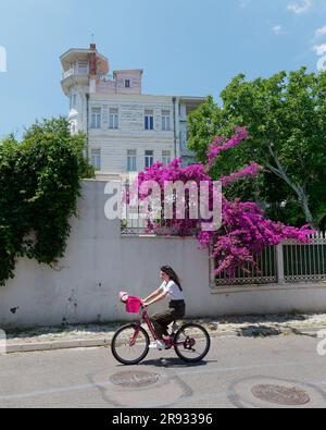Radfahrer vor einem Herrenhaus aus der osmanischen Zeit mit rosa Blumen in Adalar auf der Insel Büyükada, Prinzessinseln, Marmarameer, in der Nähe von Istanbul, Türkei Stockfoto