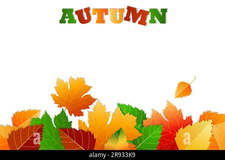 Banner auf weißem Hintergrund mit Platzierung für Text, Kopierbereich. Bunte Blätter. Konzept Herbst, Herbststimmung. Designelemente für den Herbst. Ahornblätter Stock Vektor