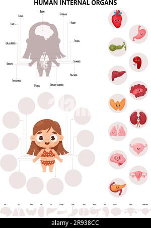 Anatomie des menschlichen Körpers. Infografiken mit süßem Mädchen. Sehschema weiblicher Organe Cartoon-Figuren, Namen und Orte. Vektordarstellung. Ich Stock Vektor