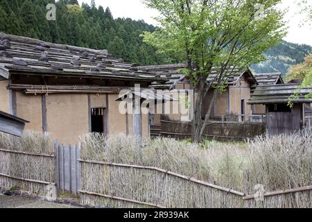 Ichijodani, die Ruinen des Asakura-Clans Stockfoto