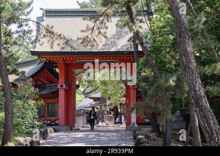 Sumiyoshi-taisha in Sumiyoshi-ku, Osaka, Präfektur Osaka, Japan Stockfoto