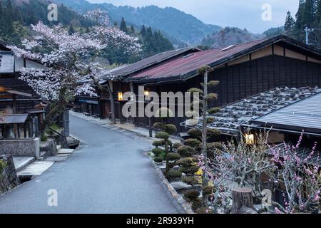 Nachtsicht auf Tsumagojyuku in Kirschblüte Stockfoto