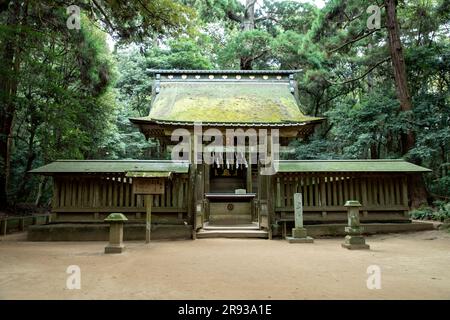 Kashima-Jingu-Schrein Stockfoto