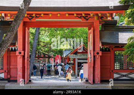 Sumiyoshi-taisha in Sumiyoshi-ku, Osaka, Präfektur Osaka, Japan Stockfoto