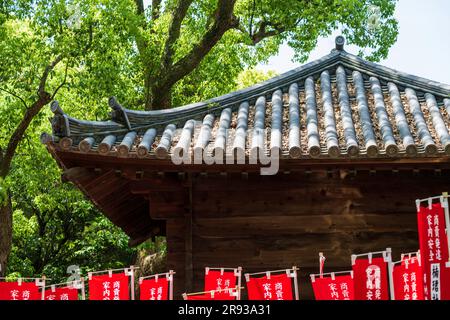 Sumiyoshi-taisha in Sumiyoshi-ku, Osaka, Präfektur Osaka, Japan Stockfoto